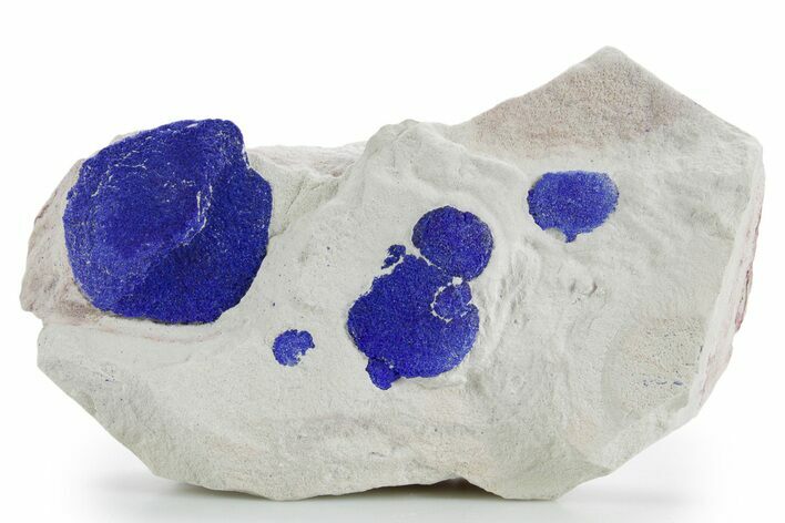 Vibrant Blue Azurite Suns on Siltstone - Australia #361227